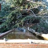 photo 2023-03-18 16-42-26