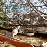 photo 2022-02-17 10-23-48