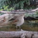 photo 2023-09-03 18-43-14