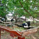 photo 2022-05-23 12-31-19