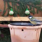 photo 2023-12-11 08-56-17