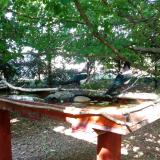 photo 2022-06-05 16-20-44