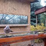 photo 2022-11-18 08-02-55