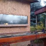 photo 2022-11-13 06-32-05