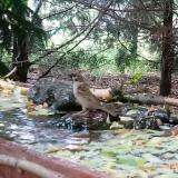 photo 2022-05-09 13-29-34 vereb