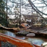 photo 2022-02-24 07-32-06