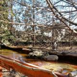 photo 2022-02-24 10-43-41