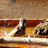 photo 2022-02-10 13-19-25 vereb