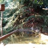 photo 2023-09-28 16-54-23