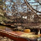 photo 2022-02-15 11-37-02