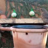 photo 2024-01-26 08-42-11