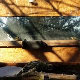 photo 2023-12-04 08-51-19