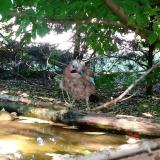 photo 2022-05-12 16-27-05 szajko