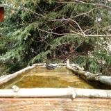 photo 2023-03-20 12-07-07