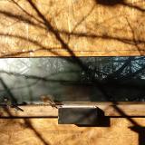 photo 2023-01-31 08-43-29