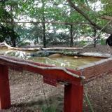 photo 2022-07-21 19-48-52