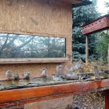 photo 2022-11-28 12-33-46