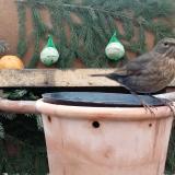 photo 2024-01-13 09-50-20