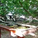 photo 2022-05-23 16-47-34