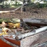 photo 2022-10-20 08-34-40 skiralyka