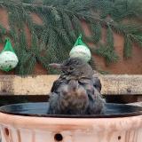 photo 2024-01-24 09-13-14 2