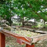 photo 2022-05-09 12-45-53