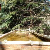 photo 2023-03-18 12-16-21