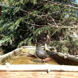 photo 2023-03-13 11-53-06