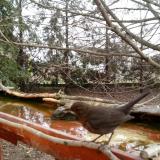 photo 2022-02-21 08-46-53