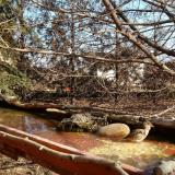 photo 2022-02-15 11-35-17