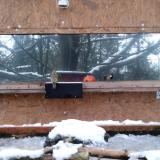 photo 2023-12-08 07-46-12