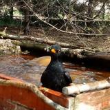 photo 2022-04-06 12-40-43 rigo