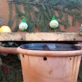 photo 2024-01-02 09-23-43