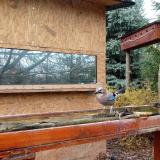 photo 2022-11-20 10-53-22