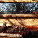 photo 2022-02-03 09-48-20