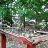 photo 2022-05-10 16-48-28