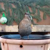 photo 2024-01-26 08-42-23 2