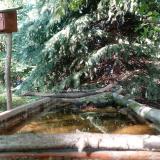 photo 2023-08-31 16-02-40