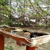 photo 2022-04-08 12-38-24