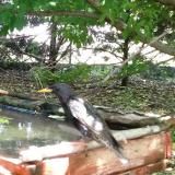 photo 2022-05-13 12-54-39