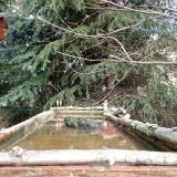 photo 2023-03-11 11-15-04