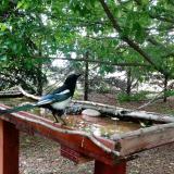 photo 2022-05-30 13-23-46