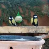 photo 2024-01-21 09-22-07