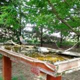 photo 2022-04-30 13-43-20