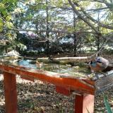 photo 2022-10-17 08-52-11