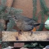 photo 2024-01-14 08-26-45