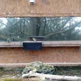 photo 2023-12-05 13-22-18