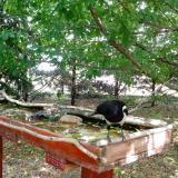 photo 2022-05-23 13-18-26