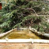 photo 2023-03-20 12-08-26