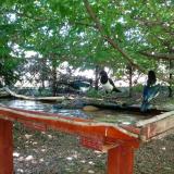 photo 2022-06-03 13-31-09